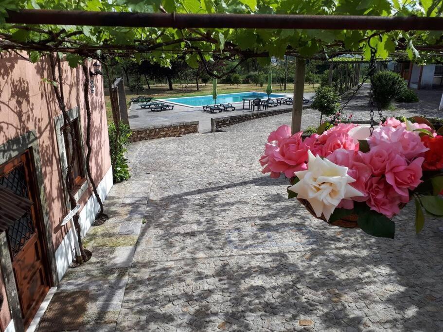 Quintinha De Santiago Villa Oliveira de Azeméis Exterior foto